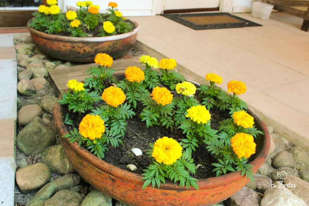 Pousada Villa Maria อิลลาโดเมล ภายนอก รูปภาพ